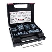 Boite de 700 vis panach�es Torx 20