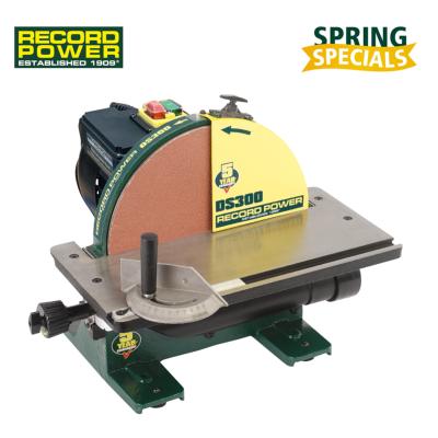 Ponceuse lapidaire 300 mm DS 300