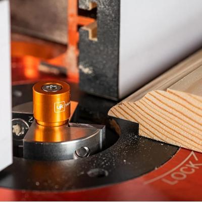 Fraise à Feuillure Avec 6 Roulements Interchangeables - Tige 1/4", Diamètre Tête 1-3/8", Pour Bois Et Panneaux